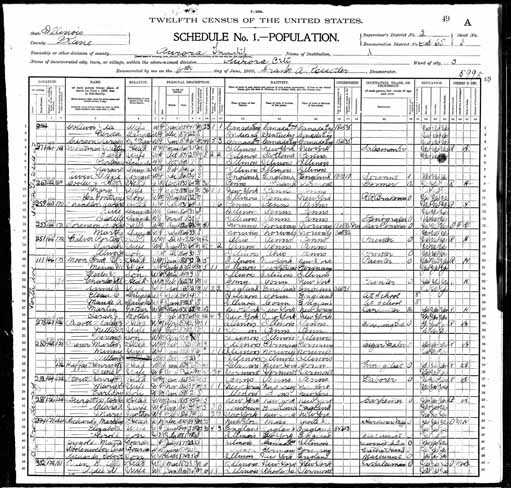 1900 United States Federal Census - Stacy Honor Pigott.jpg