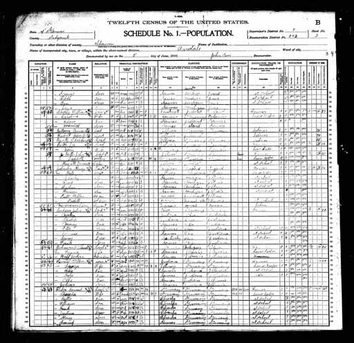 1900 United States Federal Census - Theodore Ben Burtz.jpg