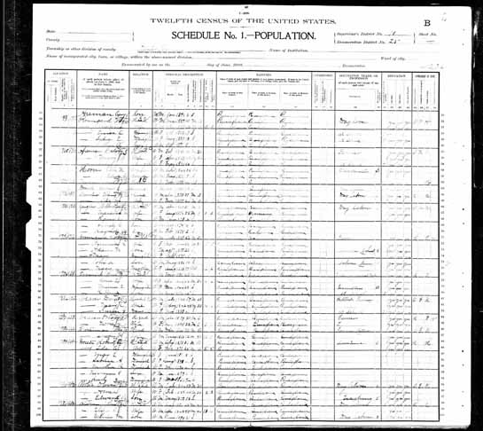 1900 United States Federal Census - W H Zeigler.jpg