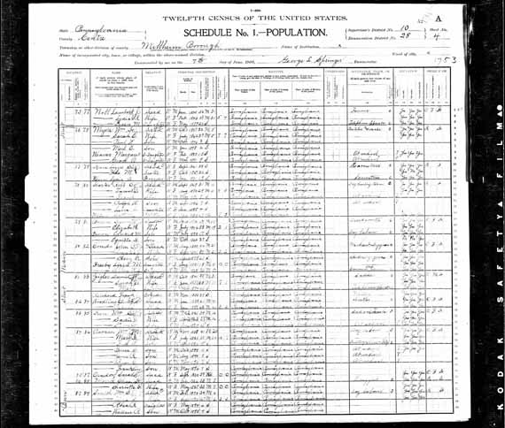1900 United States Federal Census - William Edwin .jpg