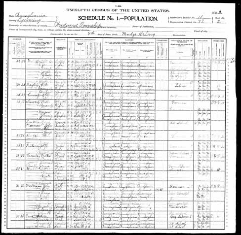 1900 United States Federal Census - William Eli Ma.jpg