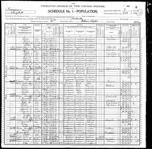 1900 United States Federal Census - William F Moye.jpg