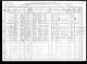 1910 United States Federal Census - Stella Leone Ruark.jpg